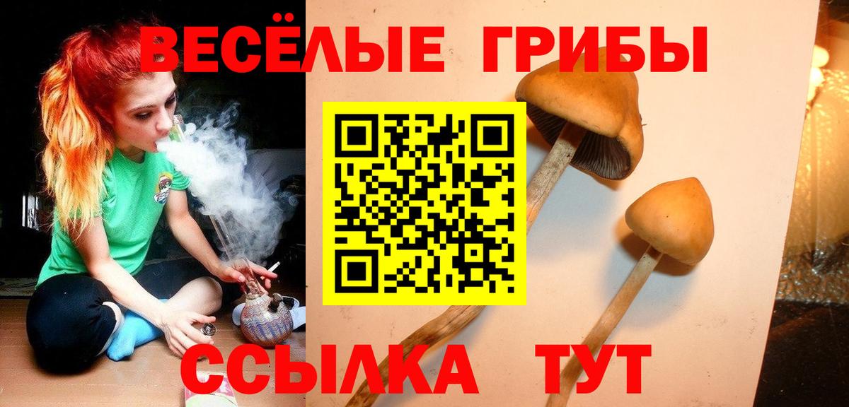 Галлюциногенные грибы мицелий Выкса