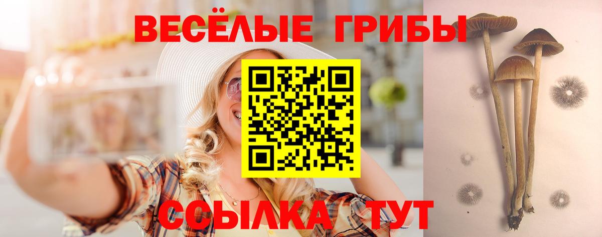 Псилоцибиновые грибы MAGIC MUSHROOMS  Вход с VPN  Выкса 