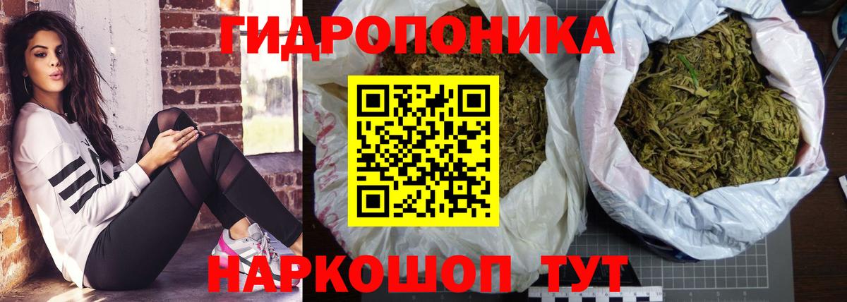 Каннабис Ganja  Конопля семена  Выкса  Марихуана марихуана  Шишки марихуана план  Вход с VPN 